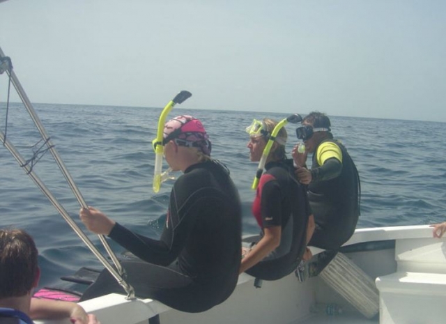 Visita guiada de snorkel
